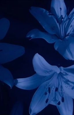 ⌞marjames⌝ ✶ buồn hay vui