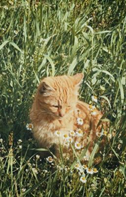 Marjames | Lần Sau