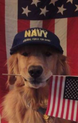 marjames^᪲᪲᪲ ngủ