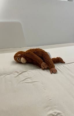 [markhyuck | textfic] kiếm em về