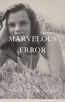 Marvelous Error (Book 3)