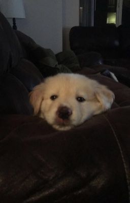 mason x congb || bé thích anh à?