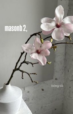 masonb 2, bóng tối