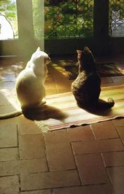 masonb ;; bản nhạc ngày hạ