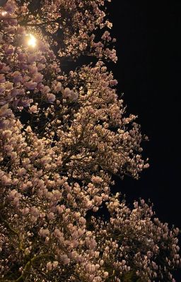 MasonB • Góc Chụp