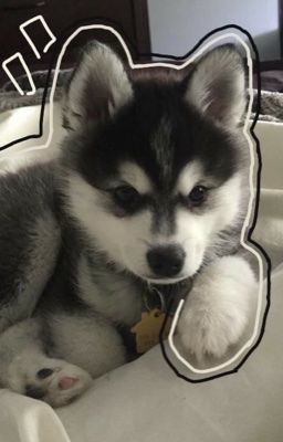  MasonB | Học thêm