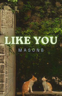 masonb - like you