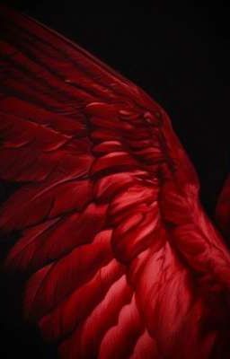 masonb 𐙚˚ trùng