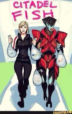 Mass Effect . . .