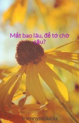 Mất bao lâu, để tớ chờ cậu?