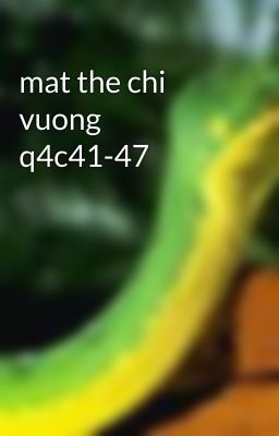 mat the chi vuong q4c41-47