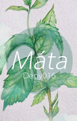 Máta