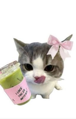 [Matcha Latte]