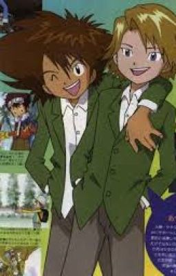 -Matt x Tai- (A DIGIMON FANFICTION)