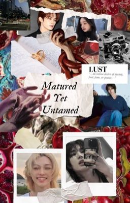 Matured Yet Untamed: I want u so bad ! {Minsung-Hyunlix}