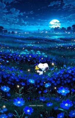 Mẫu Truyện Nhỏ