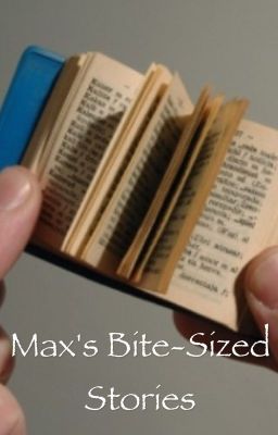 Max's Bite-Sized Stories