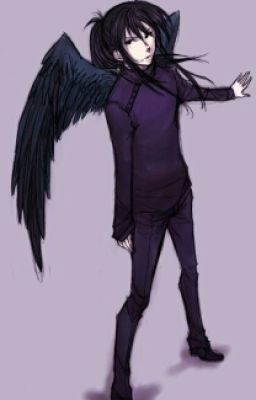 (Maximum Ride) Fang X Reader 