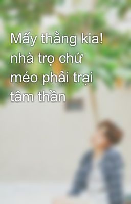 Mấy thằng kia! nhà trọ chứ méo phải trại tâm thần