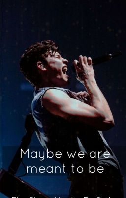 Maybe we are meant to be / Eine Shawn Mendes Fanfiction