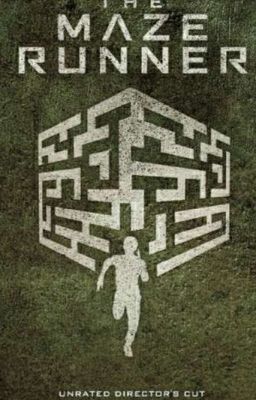 Maze runner