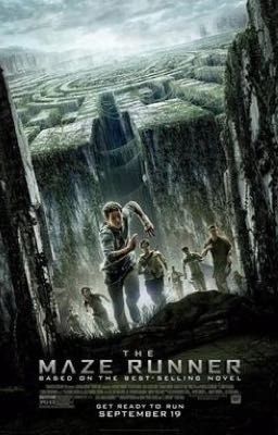 Maze runner