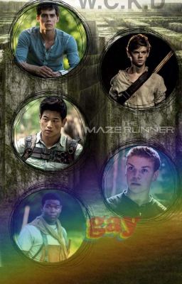 Maze Runner ff😂😂💗 (Unkreativ Af😂)