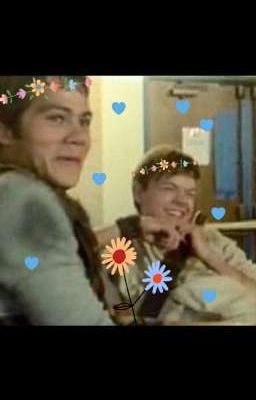 Maze Runner GIF Imagines