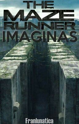 Maze Runner Imaginas 