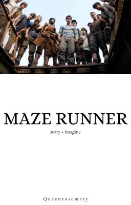 Maze Runner Story