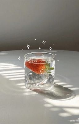 mb | mộng tình