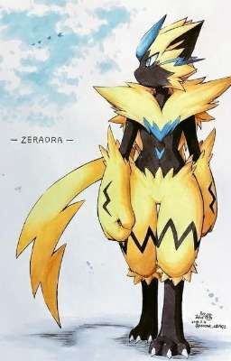 me convertí en zeraora.