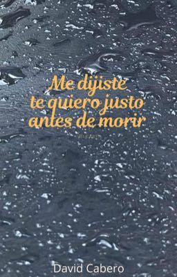 Me dijiste te quiero justo antes de morir