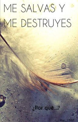 Me salvas y me destruyes (Blog #2)