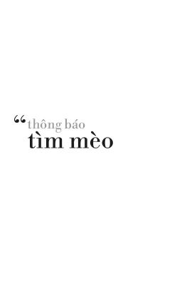 meanie | thông báo tìm mèo