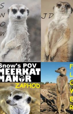 Meerkat Manor: Snow's Story