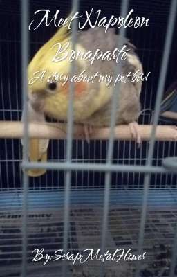 Meet Napoleon Bonaparte: A Story About My Pet Bird