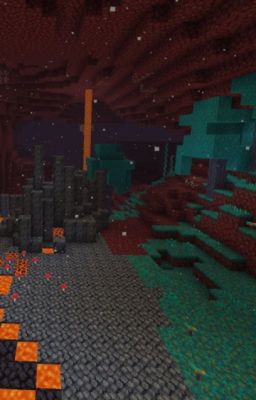 Meet The Nether System!