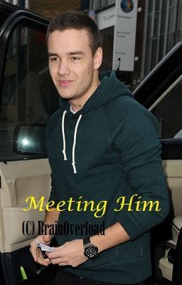 Meeting Him. (Liam Payne Zayn Malik One Direction Fan Fiction)