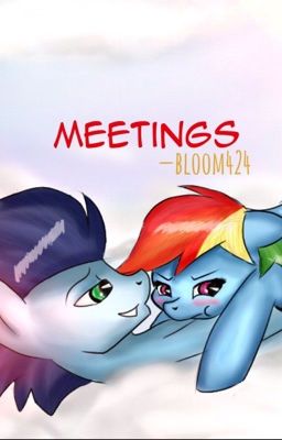 Meetings (Soarindash Fanfic) (Sequel)