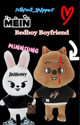 Mein Bedboy Boyfriend || Minsung