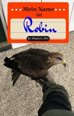 Mein Name ist Robin