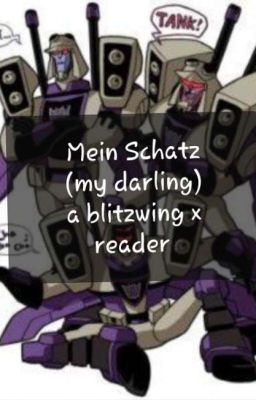  Mein Schatz    (My Darling)      A Blitzwing X Reader