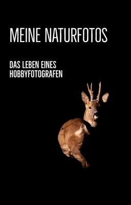 Meine Naturfotos - Das Leben eines Hobbyfotografen