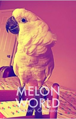 MelonWorld™️ [Melon's Creations]