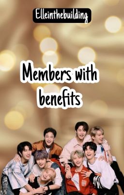 Members with benefits // Stray Kids Smut [ENG]