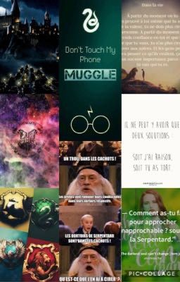 Mêmes, citations { source Pinterest et Wattpad- principalement Harry Potter}