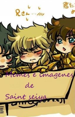 Memes e Imágenes de Saint seiya