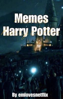 Memes Harry Potter