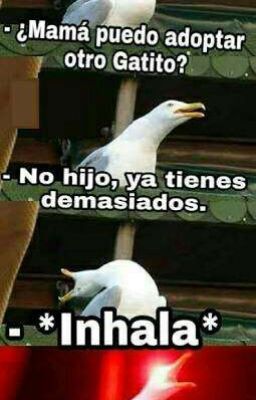 Memes Random [Videojuegos Y Random]